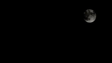 Moon Timelapse, Stock zamanaşımı: Dolunay karanlık gökyüzünde yükseliyor, gece vakti. Dolunay zamanı, gece karanlığında karanlık gökyüzünde ay ışığıyla birlikte kaybolur. Yüksek kaliteli beleş video kaydı veya zaman ayarlı