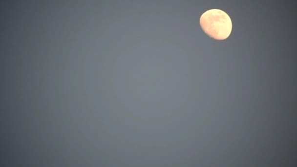 Moon Timelapse Stock Zamanaşımı Dolunay Karanlık Gökyüzünde Yükseliyor Gece Vakti — Stok video