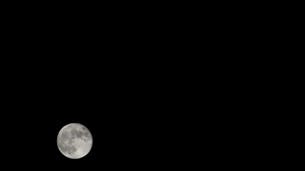 Maan Timelapse Voorraad Tijd Verval Volle Maan Opkomst Donkere Natuur — Stockvideo