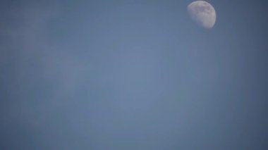 Moon Timelapse, Stock zamanaşımı: Dolunay karanlık gökyüzünde yükseliyor, gece vakti. Dolunay zamanı, gece karanlığında karanlık gökyüzünde ay ışığıyla birlikte kaybolur. Yüksek kaliteli beleş video kaydı veya zaman ayarlı