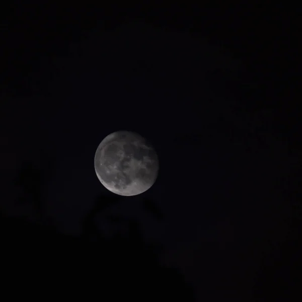 满月在夜空中 大超级月亮在漆黑的夜晚在天空中 — 图库照片