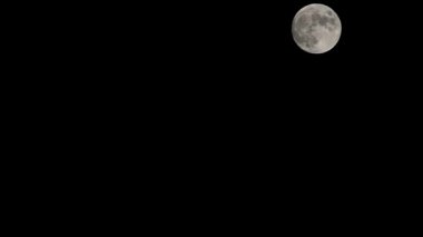 Moon Timelapse, Stock zamanaşımı: Dolunay karanlık gökyüzünde yükseliyor, gece vakti. Dolunay zamanı, gece karanlığında karanlık gökyüzünde ay ışığıyla birlikte kaybolur. Yüksek kaliteli beleş video kaydı veya zaman ayarlı