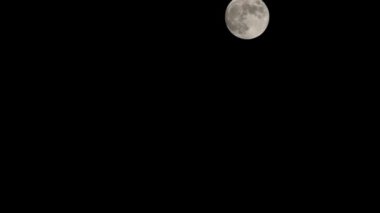 Moon Timelapse, Stock zamanaşımı: Dolunay karanlık gökyüzünde yükseliyor, gece vakti. Dolunay zamanı, gece karanlığında karanlık gökyüzünde ay ışığıyla birlikte kaybolur. Yüksek kaliteli beleş video kaydı veya zaman ayarlı