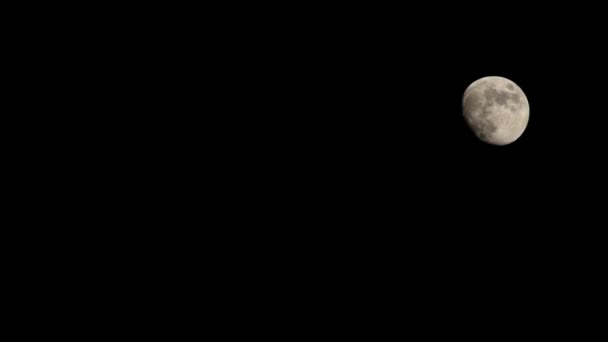 Lune Timelapse Stock Time Lapse Pleine Lune Lever Dans Nature — Video