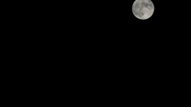 Moon Timelapse, Stock zamanaşımı: Dolunay karanlık gökyüzünde yükseliyor, gece vakti. Dolunay zamanı, gece karanlığında karanlık gökyüzünde ay ışığıyla birlikte kaybolur. Yüksek kaliteli beleş video kaydı veya zaman ayarlı