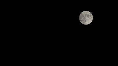Moon Timelapse, Stock zamanaşımı: Dolunay karanlık gökyüzünde yükseliyor, gece vakti. Dolunay zamanı, gece karanlığında karanlık gökyüzünde ay ışığıyla birlikte kaybolur. Yüksek kaliteli beleş video kaydı veya zaman ayarlı