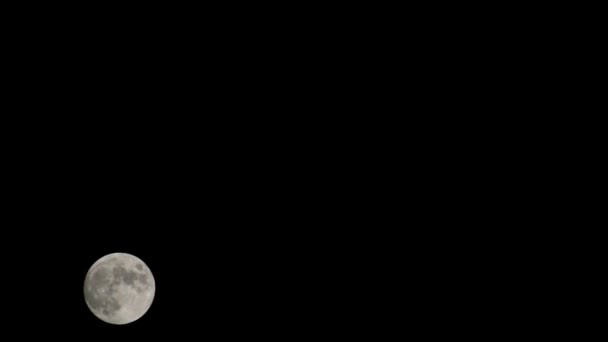 Moon Timelapse Stock Time Lapse Full Moon Rise Dark Nature — Stock Video