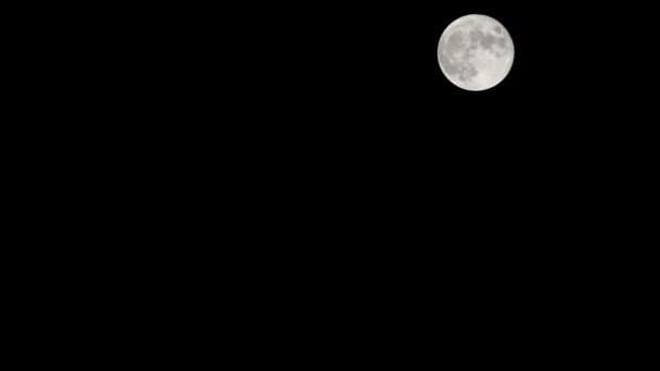 Luna Timelapse Stock Time Lapse Full Moon Rise Dark Nature — Vídeos de Stock