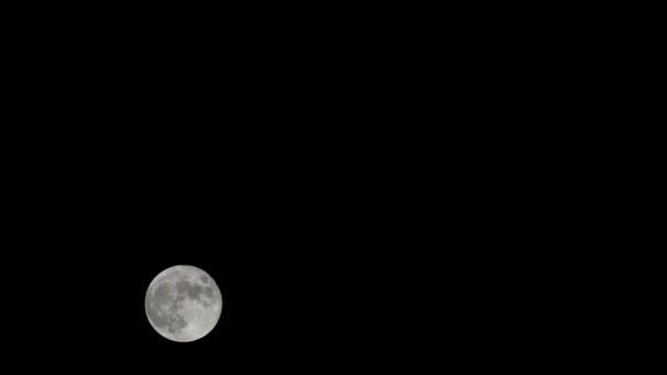 Moon Timelapse Stock Time Lapse Full Moon Rise Dark Nature — Stock Video