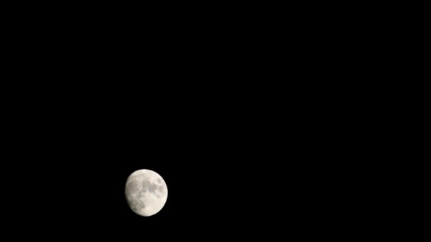 Moon Timelapse Stock Time Lapse Luna Piena Sorgere Nel Cielo — Video Stock