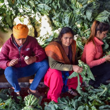 Yeni Delhi, Hindistan 25 Aralık 2020 - Punjab, Uttar Pradesh ve Uttarakhand 'den Hintli Sih ve Hindu Çiftçiler Delhi-UP sınırında protesto eylemi düzenlediler. Çiftçiler yeni çiftçi yasalarını protesto ediyorlar