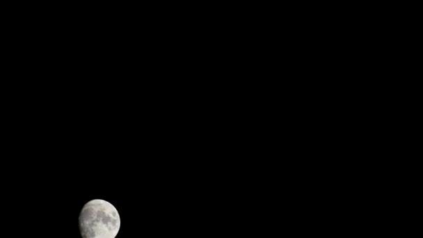 Moon Timelapse Stock Time Lapse Luna Piena Sorgere Nel Cielo — Video Stock