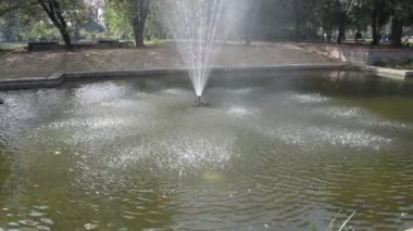 Delhi 'deki Lodhi Garden kompleksindeki çeşme, Lodhi Garden kompleksindeki çeşme, çeşmedeki su, sabah vakti Lodhi Garden parkındaki çeşme.