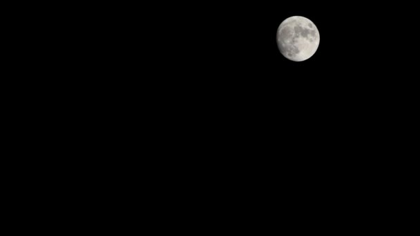 Moon Timelapse Stock Zamanaşımı Dolunay Karanlık Gökyüzünde Yükseliyor Gece Vakti — Stok video