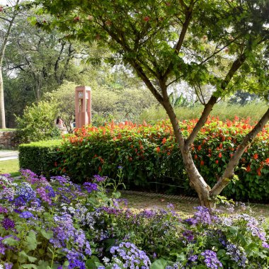 Delhi 'deki Sunder Anaokulu' nun içindeki mimari mezarın içerisinden bakıldığında, Sunder Çocuk Yuvası, Delhi 'deki Humayun' un Mezarı 'nın yanında yer alan Dünya Mirası Sunder Çocuk Yuvası' dır.