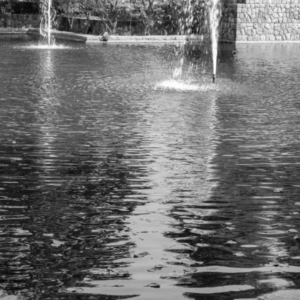 Delhi Deki Sunder Çocuk Bahçesi Ndeki Çeşme Sunder Çocuk Yuvası — Stok fotoğraf