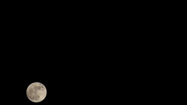 Moon Timelapse Stock Time Lapse Telihold Emelkedik Sötét Természet Éjszakai — Stock videók