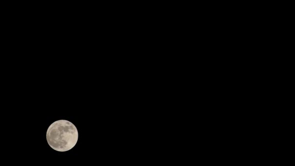 Luna Timelapse Timpul Stocului Luna Plină Răsărit Cer Întunecat Natură — Videoclip de stoc