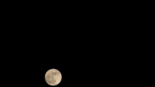 Moon Timelapse Stock Time Lapse Fullmåne Uppgång Mörk Natur Himmel — Stockvideo