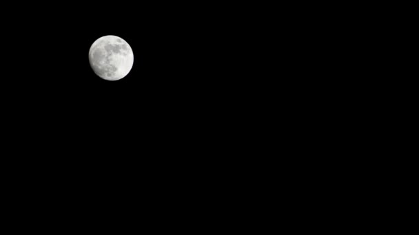 Mond Zeitraffer Zeitraffer Vollmondaufgang Dunklen Himmel Der Natur Nachtzeit Vollmond — Stockvideo