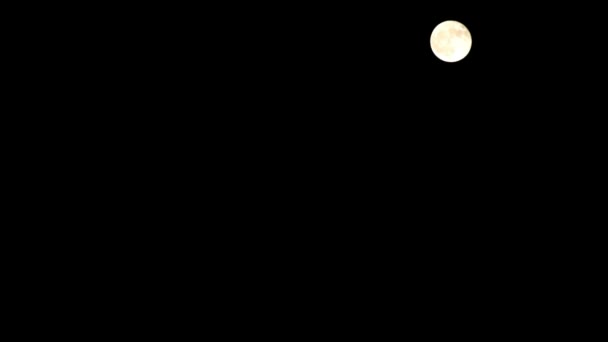 Luna Timelapse Stock Time Lapse Luna Plina Rasare Cer Intunecat — Videoclip de stoc