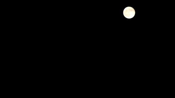 Moon Timelapse Stock Time Lapse Luna Piena Sorgere Nel Cielo — Video Stock