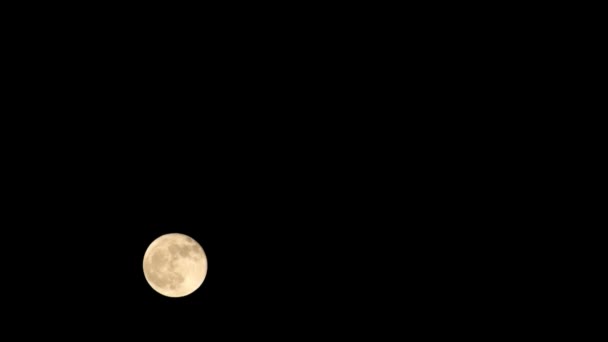 Moon Timelapse Stock Zamanaşımı Gece Vakti Karanlık Gökyüzünde Dolunay Yükselişi — Stok video