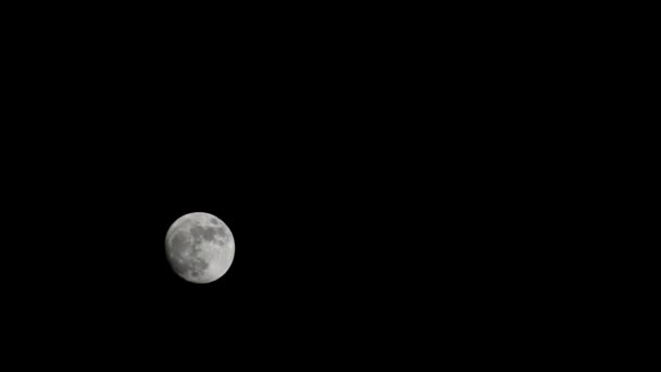 Księżyc Timelapse Stock Time Lapse Pełnia Księżyca Wschód Ciemnej Naturze — Wideo stockowe