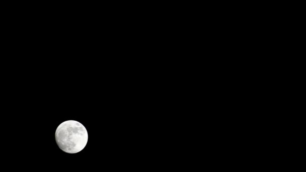 Lune Timelapse Stock Time Lapse Pleine Lune Lever Dans Nature — Video