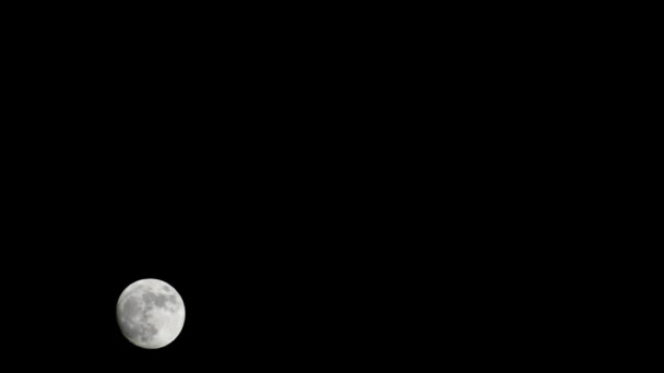 Moon Timelapse Stock Zamanaşımı Gece Vakti Karanlık Gökyüzünde Dolunay Yükselişi — Stok video