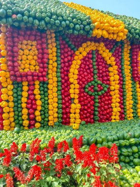 Her yıl Delhi NCR 'de düzenlenen Noida Çiçek Fuarı' nda gösterilen çok renkli güzel çiçekler, her yıl düzenlenen çiçek fuarında taze çiçekler ve yeşil bitkiler.