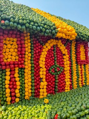 Her yıl Delhi NCR 'de düzenlenen Noida Çiçek Fuarı' nda gösterilen çok renkli güzel çiçekler, her yıl düzenlenen çiçek fuarında taze çiçekler ve yeşil bitkiler.