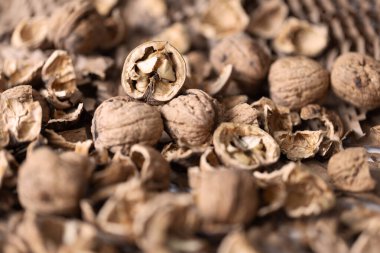 Cevizler jütle kaplı bir masanın üzerine serilmişti. Güzel bir kırsal bokeh ile..