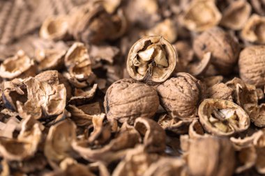 Cevizler jütle kaplı bir masanın üzerine serilmişti. Güzel bir kırsal bokeh ile..