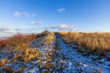 Palava 'da kış yolu gün batımında, gül kalçası çalılığı, mavi gökyüzünde don ve ay, Güney Moravya, Çek Cumhuriyeti, kış manzarası