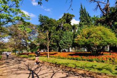 27 Haziran 2008 'de Liberty Square, Belo Horizonte, MG, Brezilya' da yürüyen insanlar. Güneşli bir günde çevrede çiçekler, ağaçlar ve binaların olduğu şehir manzarası.