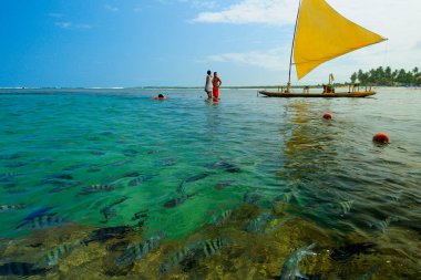 Turistlerin Porto de Galinh 'e yaptıkları doğal havuz gezileri.