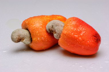 Stüdyoda beyaz arka planda su damlacıkları olan kaju ve kestane. Brezilya 'dan meyve.