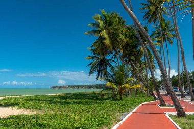 Joao Pessoa, Paraba Eyaleti, Brezilya 10 Mart 2010. Şehir merkezinin havadan görünüşü özellikle Solon de Lucena parkının gölüne vurgu yapıyor..
