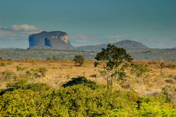 Chapada Diamantina Ulusal Parkı 'nda doğal bitki örtüsü. Arka planda Pai Inacio Tepesi, Bahia Eyaleti, Brezilya, 8 Haziran 2007.