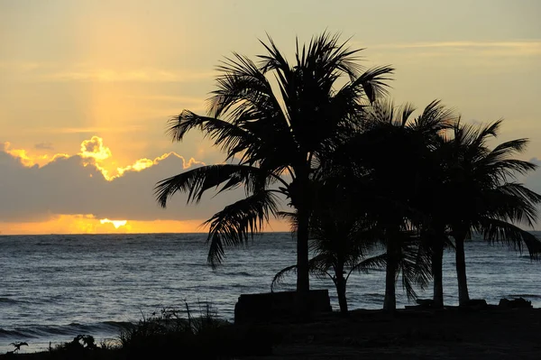 Ağustos 2012 Brezilya Joao Pessoa Paraiba Eyaletindeki Cabo Branco Plajı — Stok fotoğraf