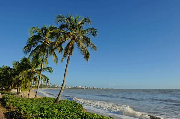 Playa Cabo Branco Joao Pessoa Estado Paraba Brasil Agosto 2012 —  Fotos de Stock