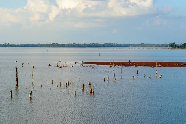 Jezioro Zapory Itaipu Porze Suchej Wynurzonymi Suchymi Drzewami Foz Iguacu — Zdjęcie stockowe