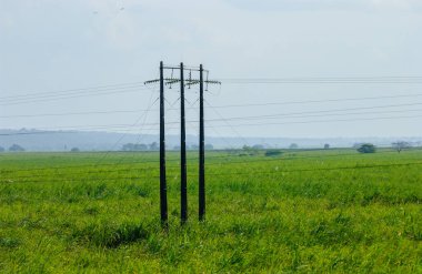 Cruz do Espirito Santo, Paraiba, Brezilya 'daki şeker kamışı tarlalarındaki kırsal elektrik direkleri 7 Eylül 2004.