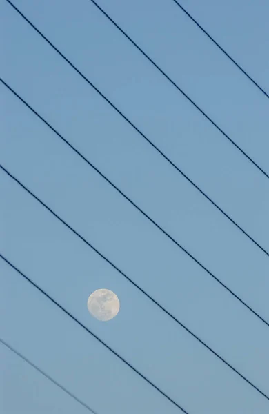 Pólos Eletrificação Com Céu Final Tarde Fundo — Fotografia de Stock