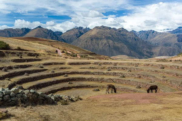 Археологический Центр Морея Урубамба Куско Перу Октября 2014 Года Центр — стоковое фото