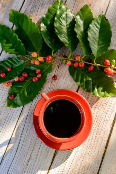Red coffee cup with leaves and coffee seeds on wooden table. Top view.