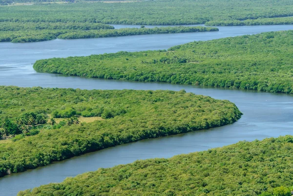 Mangrove Paraiba River Joao Pessoa Paraiba Brazil March 2010 Aerial — Stock Photo, Image