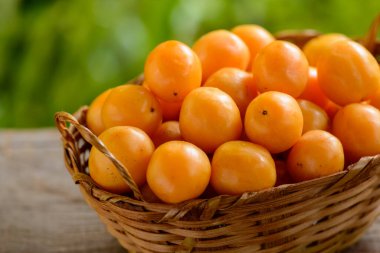 Brezilya Meyve Caja 'sı saman sepetinde.