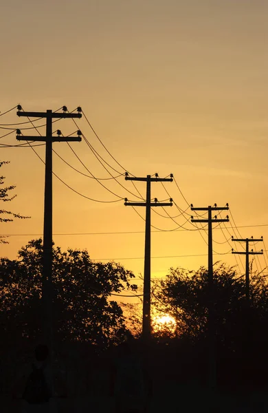 Turuncu Gün Batımı Arkaplanlı Elektrik Direkleri — Stok fotoğraf